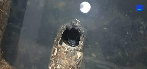 동작구 · 전화 상담 뒤 방문 고객 글 사진